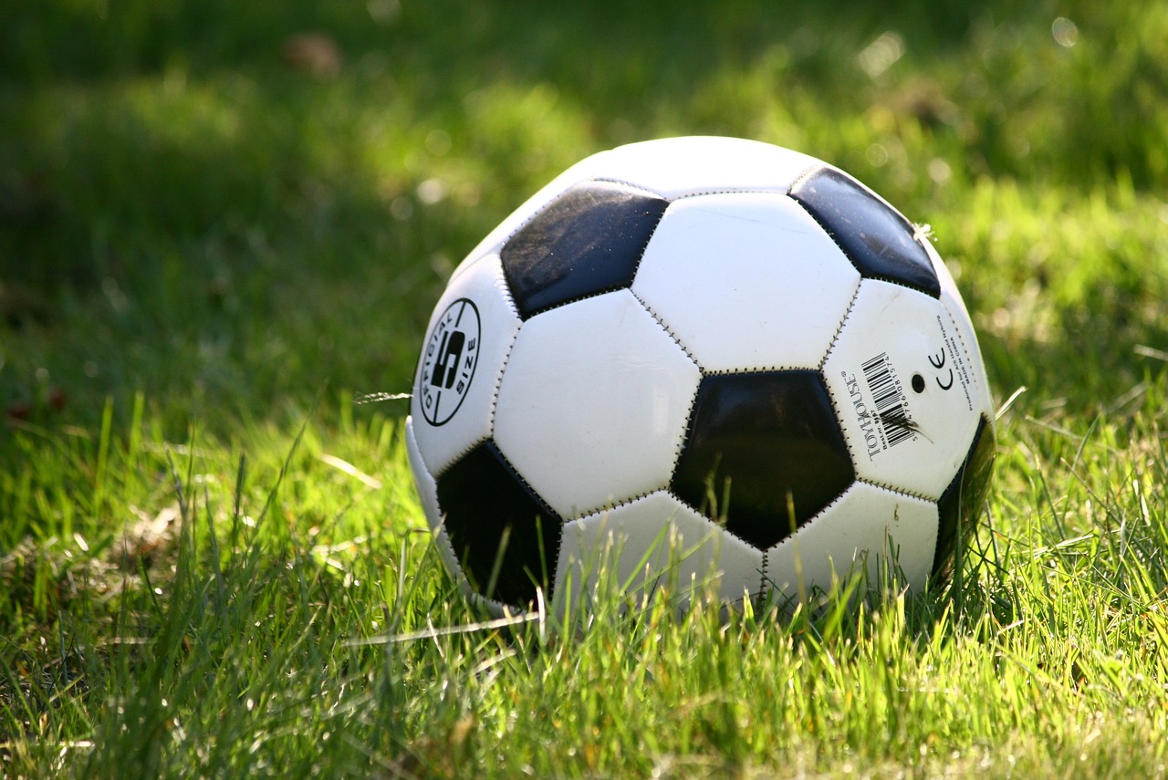 Neighborhood university suggests site for new sporting activities arena