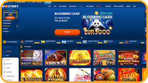 Обзор букмекерской конторы Mostbet